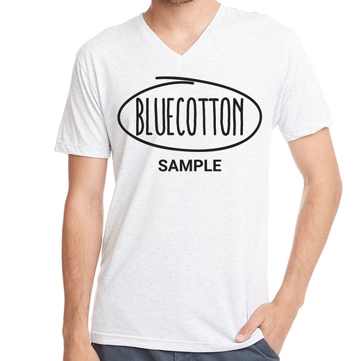 Sample image of Next Level 6040 Triblend V-Neck T-Shirt